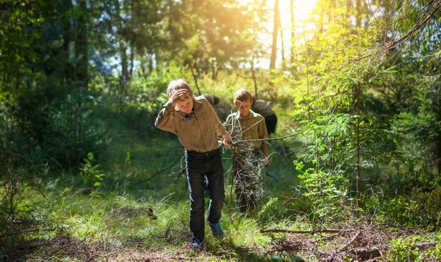 Outil Jungle Scout : découverte mots clés pour Amazon en ligne (source : Waxoo)