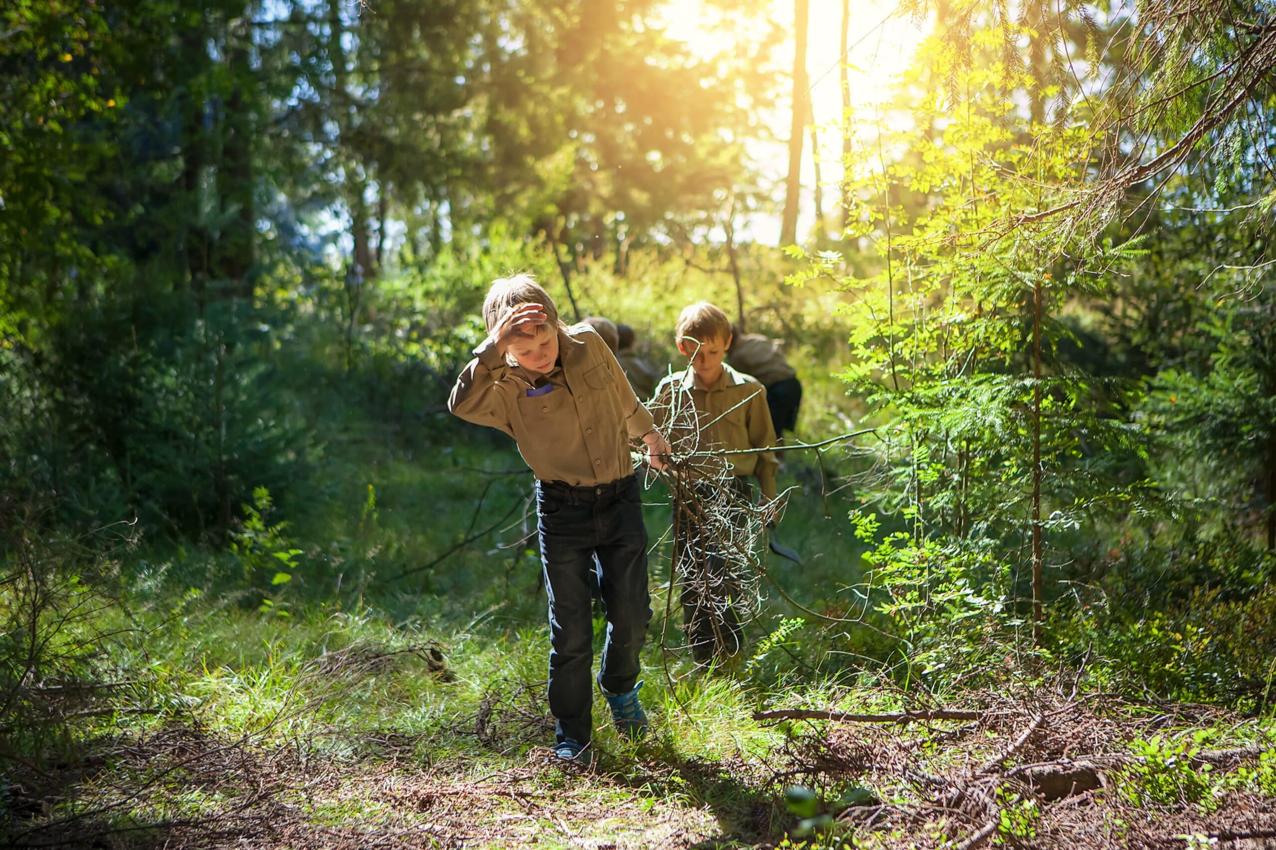 Outil Jungle Scout : découverte mots clés pour Amazon en ligne (source : Waxoo)