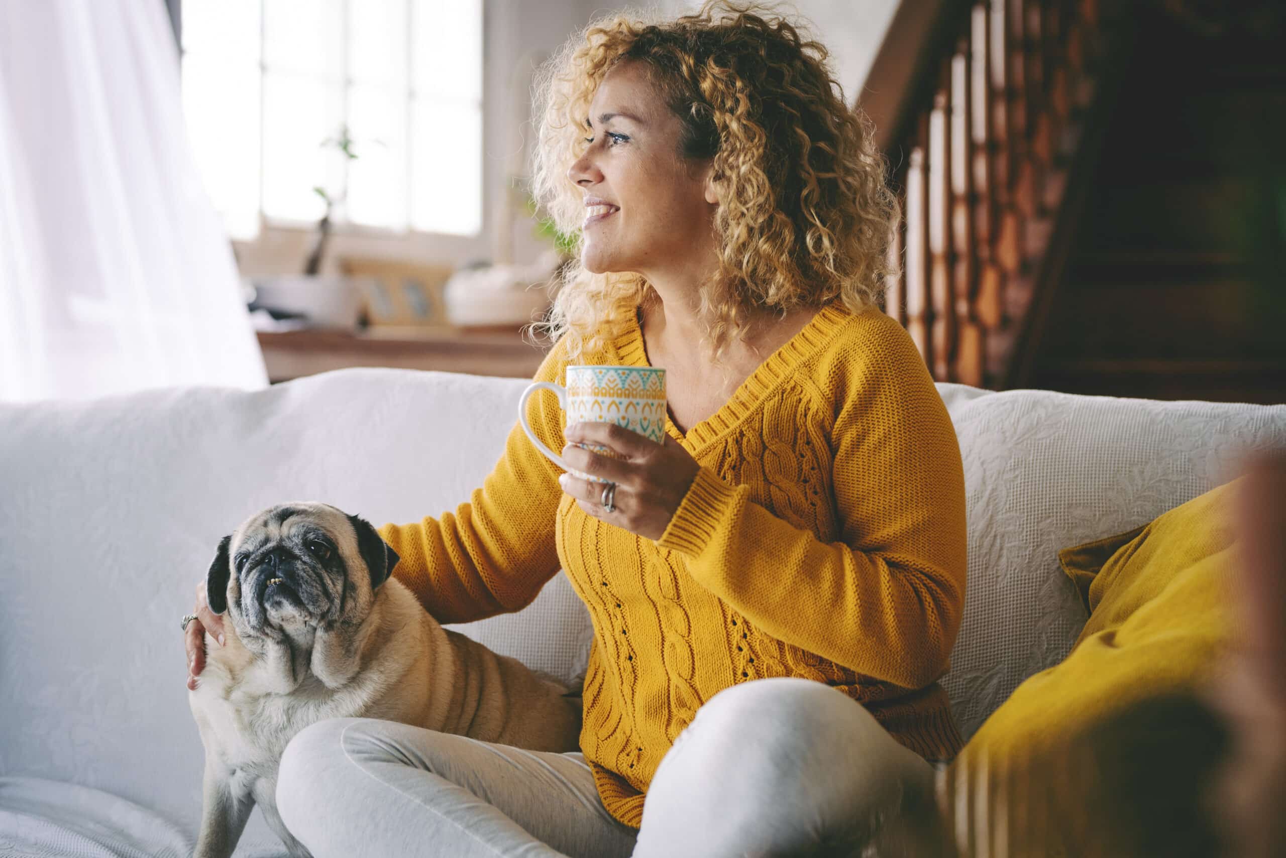 Optimisez vos Reels Instagram pour plus de vues avec les meilleurs horaires de publication