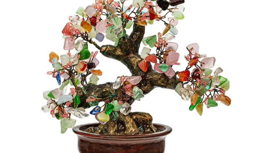 Présentation meilleur outil de gestion entreprise : avis bonsai year.